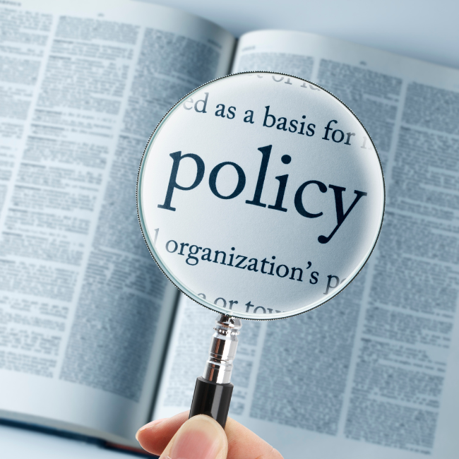 Public Policy and Governance